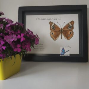 Cuadro decorativo pintado en acuarela de mariposas