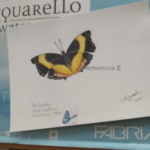 Cuadro decorativo pintado en acuarela de mariposas
