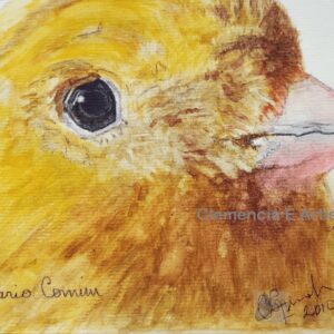 Pintura decorativa. Cuadro pintado en acuarela Pajaro amarillo