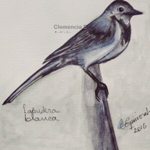 Cuadro decorativopintado en acuarela de pajaros