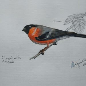 Cuadro decorativo pintado en acuarela de pajaros