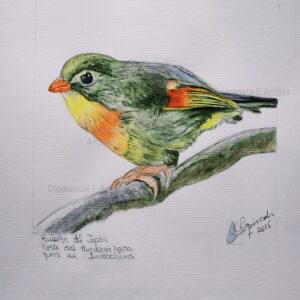 Cuadro decorativo pintado en acuarela de pajaros