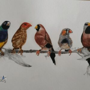 Cuadro decorativopintado en acuarela de pajaros