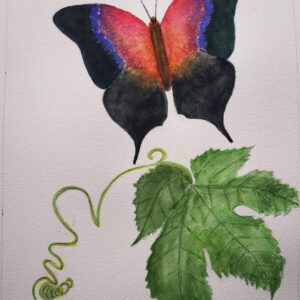 Mariposa Radiante