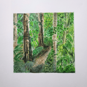 Selva Camino valiente