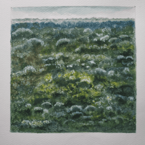 Selva impenetrable cuadro