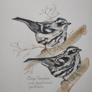 Insólito blanco y negro