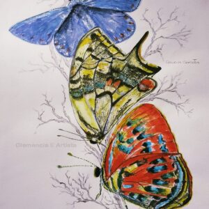 Mariposas