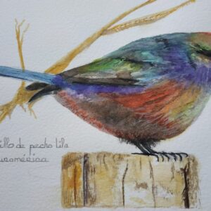 Mil Colores Cosa insólita