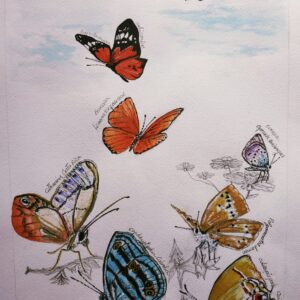 Mariposas en el jardín