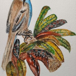 Pájaro acompañado por cortos.